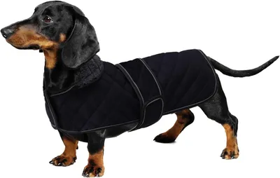 Image de Manteau d'hiver pour chien - Taille M - Polaire - Imperméable - Réfléchissant