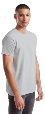 Productafbeelding van Fruit Of The Loom Iconisch 150 T T-shirt Grijs