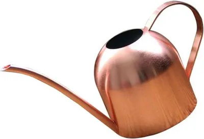 Image de Petits arrosoirs en métal de 500 ml pour les plantes