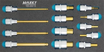 Obrázek produktu pro Hazet Bit set 1/2 (12.5 mm) 13-piece 163-220/13