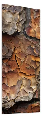 Produktbild von Glasbild 50x125cm in XXL für Wohnzimmer, Schlafzimmer Motiv Baumrindenstruktur