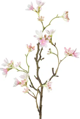 Produktbild von künstlicher Scheinquittenzweig H. 51cm rosa GASPER Kunstblumen WA