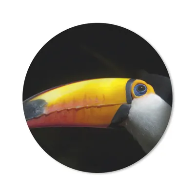 Produktbild von MuchoWow® Mauspad Mousepad Tukan - Vogel - Schnabel 30x30 cm - Mousepads - Maus Mat - Pad - Mausunterlage - Tischunterlage - Schreibtischmatten