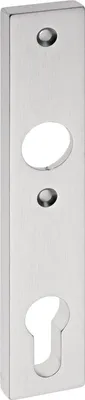 Image de Plaque courte pour coffre de serrure 1317/7203 Plaque intérieure aluminium F1 / couleur naturelle