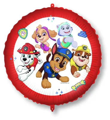 Produktbild von Paw Patrol Folienballon mit Gewicht, 46cm