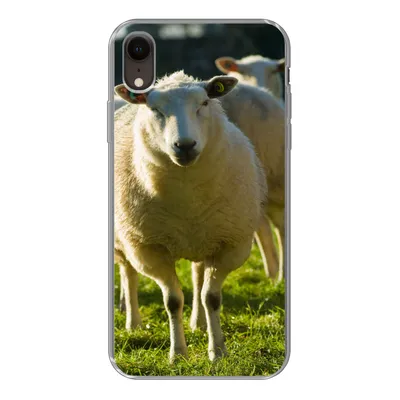 Produktbild von MuchoWow® Handyhülle Schutzhülle Hülle für iPhone XR Schafe - Tiere - Wolle Silikon Softcase Handy Hülle - Schutzdeckel