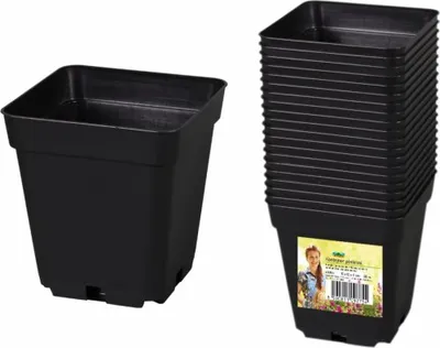 Image de Bac de culture en plastique 10x10x11cm 20pcs