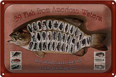 Produktbild von Blechschild Fisch 30x20cm 39 Fish from american Waters