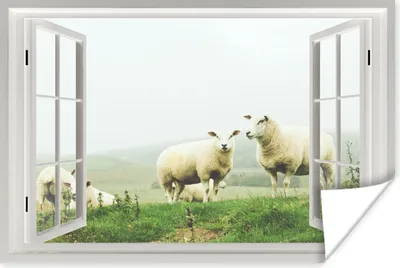 Produktbild von MuchoWow® Poster Durchblick - Gras - Schafe 90x60 cm - Schlafzimmer