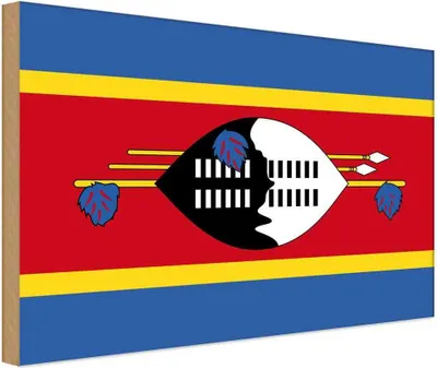 Produktbild von vianmo Holzschild 30x40 cm Swasilands Eswatini Flagge Fahne Wappen