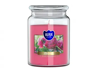Produktbild von Bispol Duftkerze im Glas Pfingstrose SND99-157