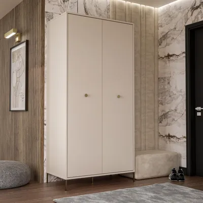 Image de Armoire Forte SALVATRICE 95, élégante armoire avec 2 portes battantes et étagères