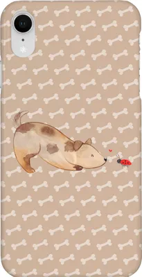 Produktbild von Mr. & Mrs. Panda Iphone XR Handyhülle Hund Marienkäfer - Hundeglück - Geschenk, Hunde, Mischlinghund, Handy Case, Premium Kunststoff, Sprüche, Achtsam, Neugierig