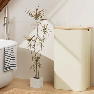 Produktbild von Wäschekorb mit Deckel - hoher Wäschekorb - 100 Liter - beige