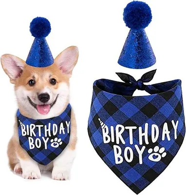 Produktbild von Hundefesttagsbandana und Geburtstagsmütze Set für Hunde und Katzen