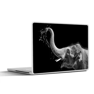 Produktbild von MuchoWow® Laptop Aufkleber Sticker Cover Porträt - Elefant - Tiere - Schwarz und weiß 32.5x23.5 cm - Sticker für Laptop - Selbstklebend