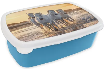 Produktbild von KitchenYeah® Lunchbox Brotzeit Brotdose 17x11 cm Pferde - Wasser - Strand - Tiere Kinder Brotzeitdose - Lunch - Kunststoff  - Brotbüchse - Sandwichbox - Lunchbox für Kinder