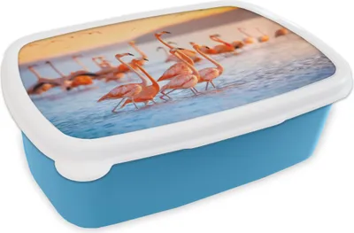 Produktbild von KitchenYeah® Lunchbox Brotzeit Brotdose 17x11 cm Flamingo - Meer - Sonne - Sommer Kinder Brotzeitdose - Lunch - Kunststoff  - Brotbüchse - Sandwichbox - Lunchbox für Kinder