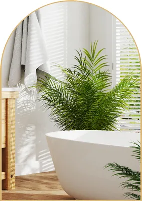 Image de HOMCOM Miroir mural arqué, miroir de salle de bain, 50 x 70 cm, haute définition, avec cadre en alliage d'aluminium, pour chambre, salon, entrée, or