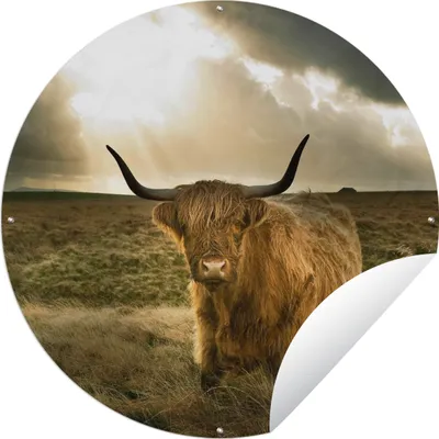 Produktbild von MuchoWow® Gartenposter Outdoor-Poster Rund Schottischer Hochländer - Sonne - Tiere Ø 90 cm Gartendeko Rundes Poster draußen