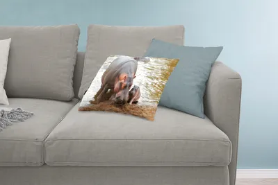 Produktbild von MuchoWow® Zierkissen Sofakissen Wohnzimmer Dekokissen 60x40 cm Tiere - Nilpferde - Baby - Kopfkissen - Polster mit Foto