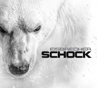 Produktbild von Eisbrecher: Eisbrecher: Schock -   - (CD / S)