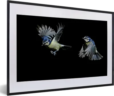 Produktbild von MuchoWow® Gerahmtes Poster Vogel - Federn - Porträt 60x40 cm - Poster mit Schwarzem Bilderrahmen Wandposter Rahmen Foto Bilder - Schlafzimmer - Plakat in Rahmen - Drucken