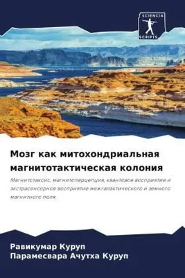Produktbild von Mozg kak mitohondrial'naq magnitotakticheskaq koloniq
