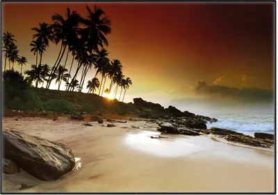 Produktbild von Wallario Wandbild Sri Lanka - Palmenstrand mit Sonnenuntergang, Größe: 70,30 x 100,30 cm, Poster mit schwarzem Aluminiumrahmen