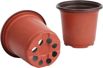 Produktbild von 100 Stück Pflanztöpfe aus robustem, ungiftigem und atmungsaktivem Kunststoff – ideal für Anzucht, Setzlinge und den Außenbereich. Die Töpfe überzeugen durch ihre langlebige Materialqualität, hohlen Boden für optimale Drainage und Belüftung sowie eine praktische Größe für gesundes Wurzelwachstum. Dank ihrer leichten Handhabung und Flexibilität eignen sie sich besonders für das schonende Auspflanzen junger Pflanzen. Ob im Garten, auf dem Balkon oder im Gewächshaus – dieses Set bietet zuverlässige Unterstützun