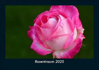 Produktbild von Rosentraum 2025 Fotokalender DIN A5