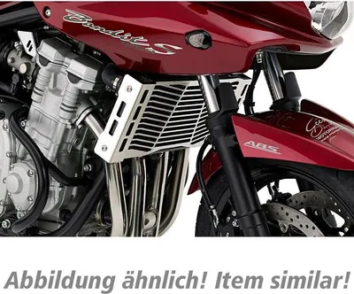 Produktbild von POLO Kühlerabdeckung Edelstahl für Kawasaki Z 750/1000 ab 2007