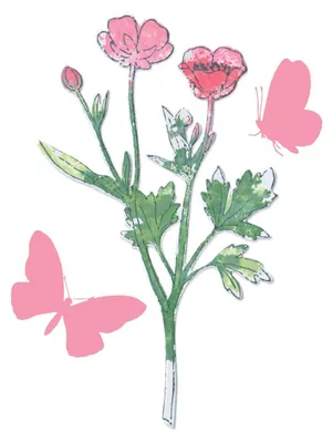 Produktbild von Sizzix 49 and Market Stanzschablonen, A5, transparent