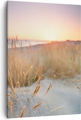 Produktbild von Bild auf Leinwand - Leinwandbild - Einteilig - Sonne Vögel Sand - 50x70cm - Wand Bild - Wanddeko - Wandbilder - Leinwanddruck - Kunstdruck - Wanddekoration - Leinwand bilder - Wandbild - PA50x70-4810
