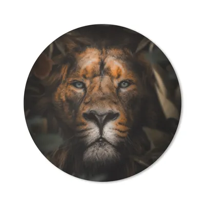 Produktbild von MuchoWow® Mauspad Mousepad Tiere - Löwe - Dschungel 50x50 cm - Mousepads - Maus Mat - Pad - Mausunterlage - Vinyl