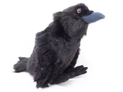 Image de Wild Republic - Peluche - Cuddlekins - Corbeau