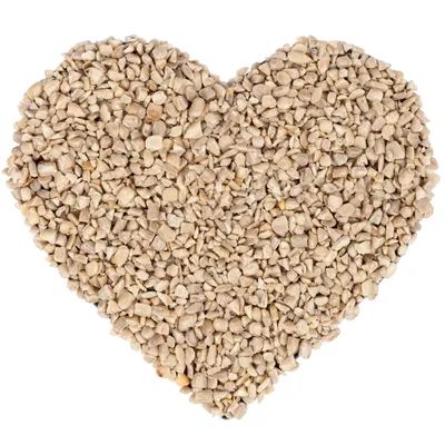 Produktbild von 25 kg Lyra Pet® Sonnenblumenkerne geschält BRUCH HK Bulgarien