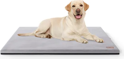 Produktbild von Knuffelwuff Orthopädische kuschelige Hundematte Berrith aus weichem Kaninchen Fellimitat 100x70cm Grau