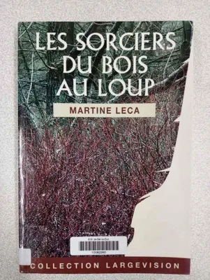 Image de Les sorciers du Bois au loup (Collection Largevision)