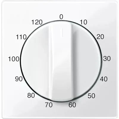 Produktbild von Merten Zentralplatte pws/gl 567519