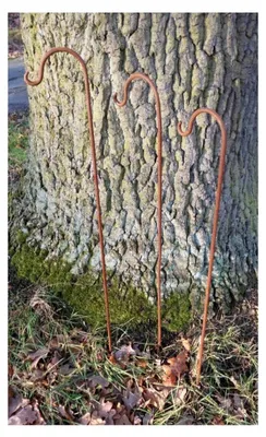 Produktbild von 3er-Set Gartenstäbe mit Haken aus massivem Eisen, Rost, je 80 cm