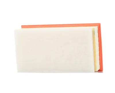 Immagine prodotto di Luftfilter FEBI 100384