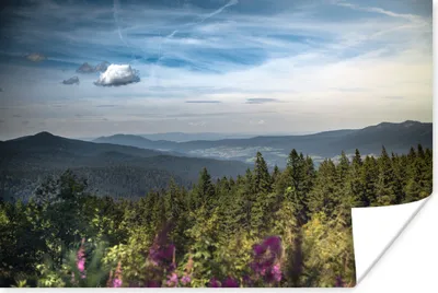 Produktbild von MuchoWow® Poster Übersicht über die Bäume im Nationalpark Bayerischer Wald 180x120 cm - Fotoplakat