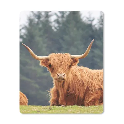 Produktbild von MuchoWow® Mauspad Mousepad Schottische Highlander - Gras - Wald 30x40 cm - Mousepads - Maus Mat - Pad - Mausunterlage - Mausmatten