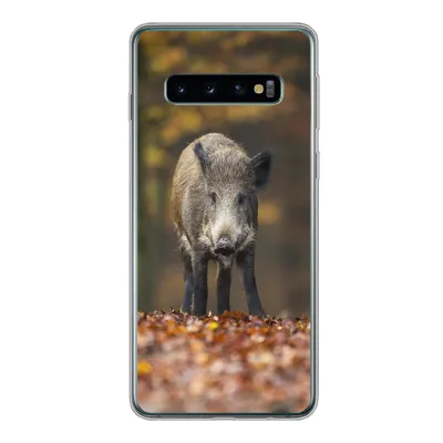 Produktbild von MuchoWow® Handyhülle Schutzhülle Hülle für Samsung Galaxy S10 Wildtier - Wald - Herbst Silikon Softcase Handy Hülle - Handytasche