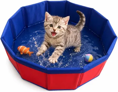 Productafbeelding van Opvouwbaar kattenbad, PVC, 30 x 10 cm, geschikt voor katten en kleine honden