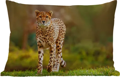Produktbild von MuchoWow® Outdoor Kissen - Wildtiere - Gras - Leopard - Natur - 60x40 cm - Wetterfest - Lounge Kissen - Zierkissen - Kissen für Innenräume