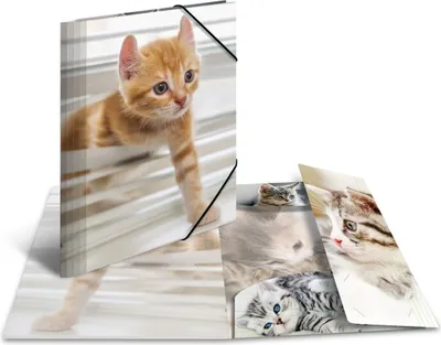 Produktbild von Sammelmappe Glossy Tiere A4 PP Katzen Packung mit 3 Stück