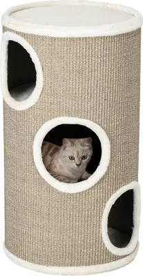 A cat is inside a cylindrical cat scratching tower with multiple openings.