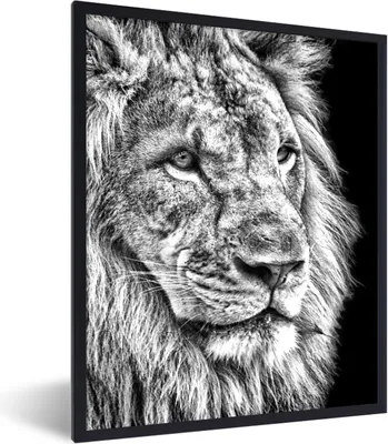 Produktbild von MuchoWow® Gerahmtes Poster Porträt - Löwe - Schwarz und weiß 60x80 cm - Poster mit Schwarzem Bilderrahmen Wandposter Rahmen Foto Bilder - Premium - Wanddeko Wohnzimmer